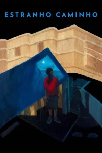  Странный путь 